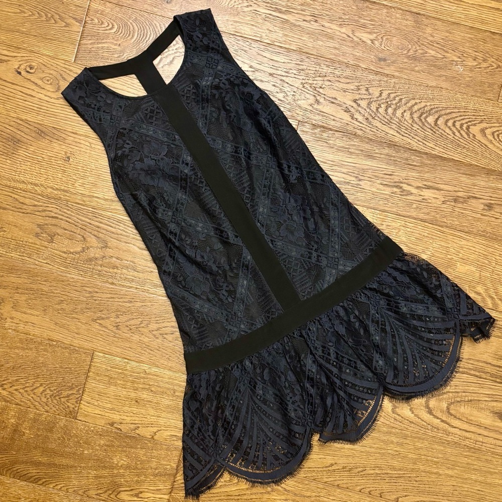 Twelfth Street by Cynthia Vincent lace dress - Picture 2 of 8